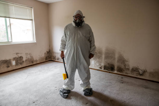 Best Industrial Mold Remediation in Peachtree Corners, GA