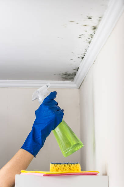 Best HVAC Mold Remediation in Peachtree Corners, GA